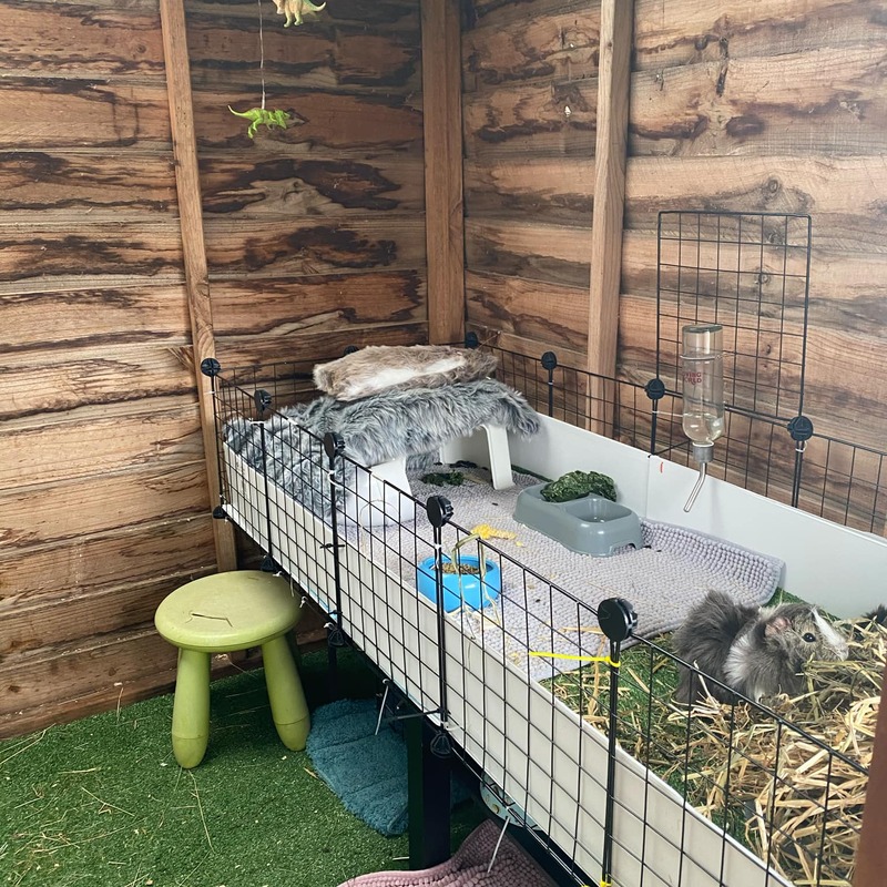 C&C Cage with Toggle Mats