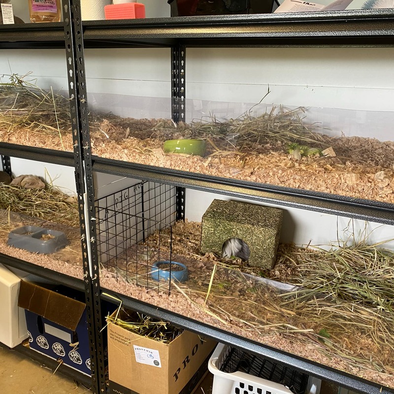 Hammerlok shelving multi-level runs