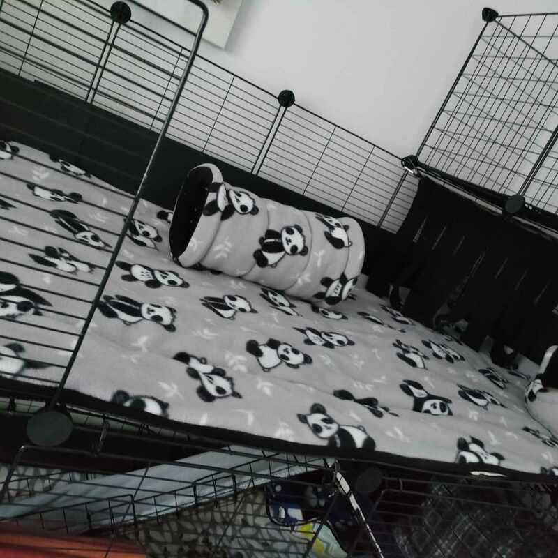 C & C style cage with fleece bedding